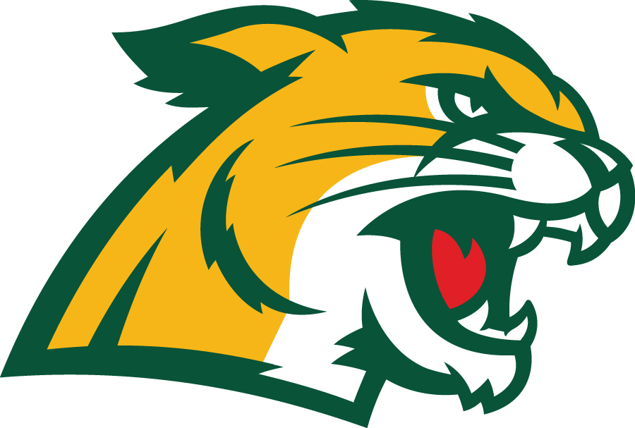 Northern Michigan Wildcats 2016-Pres Secondary Logo diy DTF decal sticker